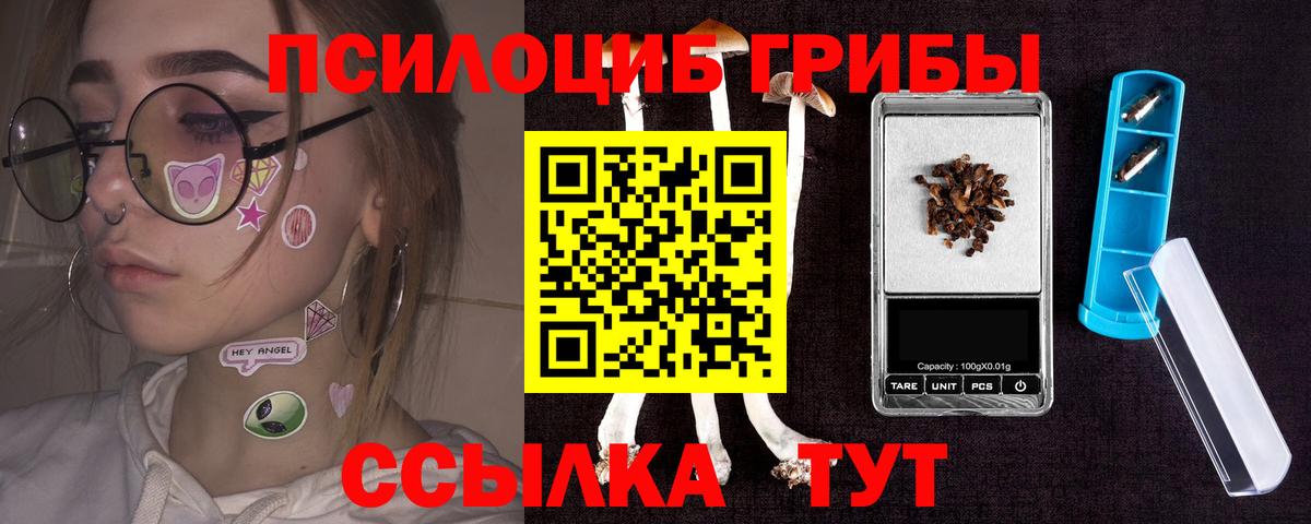 Коряжма  Галлюциногенные грибы Psilocybe  Псилоцибиновые грибы Magic Shrooms  Вход с VPN 